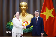 Thủ tướng Lê Minh Hưng tiếp Đại sứ New Zealand Caroline Beresford. (Ảnh: Dương Giang/TTXVN)
