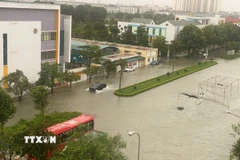 Khu vực Trường liên cấp Fansipan, phường Hạc Thành, tỉnh Thanh Hóa, ngập trong biển nước. (Ảnh: Khiếu Tư/TTXVN)