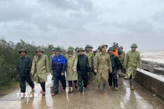Phó Thủ tướng Chính phủ Trần Hồng Hà và đoàn công tác kiểm tra công tác khắc phục hậu quả tại kè Hải Thịnh 3 (Ninh Bình). (Ảnh: Công Luật/TTXVN)