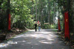 Đường dẫn vào các di tích ở Chiến khu Đ, tỉnh Đồng Nai. (Ảnh: Công Phong/TTXVN)