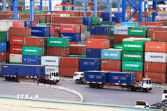 Xe chở container hàng hóa hoạt động tại Tân Cảng Cát Lái, thành phố Thủ Đức, Thành phố Hồ Chí Minh. (Ảnh: Hồng Đạt/TTXVN)