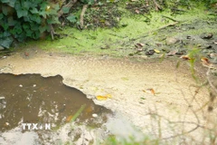 Ảnh minh họa. (Nguồn: TTXVN)