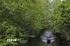 Khu Bảo tồn thiên nhiên Lung Ngọc Hoàng với vẻ đẹp hoang sơ. (Ảnh: Duy Khương/TTXVN)