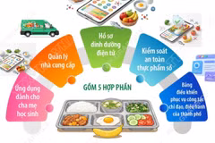Hà Nội triển khai Hệ thống cơ sở dữ liệu về dinh dưỡng tại cơ sở bán trú 
