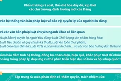 Thể chế hóa chủ trương của Đảng vào hệ thống pháp luật bảo vệ quyền người tiêu dùng