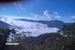 Tà Xùa quanh năm được bao bọc trong những dải mây mù, nên đến đây vào bất kỳ thời điểm nào cũng đẹp. (Ảnh; Hồng Hạnh/Vietnam+)