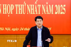 Chủ tịch nước Lương Cường chủ trì Phiên họp thứ nhất năm 2025 của Ban Chỉ đạo Cải cách Tư pháp Trung ương. (Ảnh: Lâm Khánh/TTXVN)