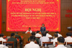 Phó Thủ tướng Phạm Thị Thanh Trà phát biểu tại buổi làm việc. (Ảnh: Xuân Tư/TTXVN)