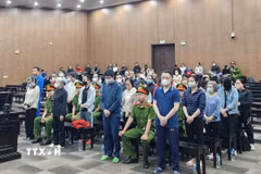 Các bị cáo tại phiên tòa. (Ảnh: Kim Anh/TTXVN)