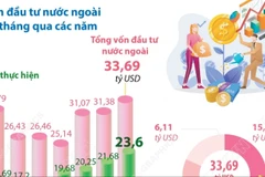 Tổng vốn đầu tư nước ngoài đăng ký vào Việt Nam 11 tháng qua tăng 7,4% 