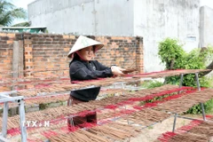 Từ bàn tay người thợ, cây dó bầu được "đánh thức" thành nhiều sản phẩm đa dạng như trầm cảnh mỹ nghệ và nhang trầm. (Ảnh: Đặng Tuấn/TTXVN)