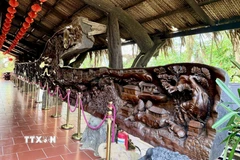 Bức tranh gỗ lũa khổng lồ dài gần 25m, nặng khoảng 20 tấn, được xem là một trong những tác phẩm công phu bậc nhất Việt Nam. (Ảnh: Thanh Sang/TTXVN)