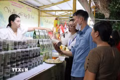 Giới thiệu sản phẩm OCOP tại hội chợ. (Ảnh: Mạnh Minh/TTXVN)