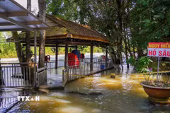 Dù thường xuyên bị ảnh hưởng khi hồ Dầu Tiếng vận hành xả lũ nhiều hộ dân vẫn duy trì hoạt động kinh doanh do lợi ích trước mắt. (Ảnh: Minh Phú/TTXVN)