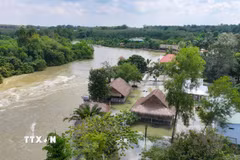 Một số công trình kinh doanh ven suối, địa bàn ấp Sơn Đài, xã Dầu Tiếng, Thành phố Hồ Chí Minh thường xuyên ngập sâu khi hồ Dầu Tiếng điều tiết nước trong mùa mưa lũ. (Ảnh: Minh Phú/TTXVN)