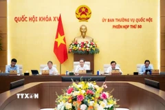 Chủ tịch Quốc hội Trần Thanh Mẫn phát biểu. (Ảnh: Doãn Tấn/TTXVN)