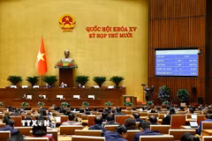 Quốc hội biểu quyết thông qua Luật Dẫn độ. (Ảnh: Doãn Tấn/TTXVN)