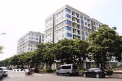 Ảnh minh họa. (Ảnh: Đỗ Huyền/TTXVN)