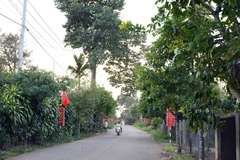 "Đường cờ thông minh" ở Thôn 3 Lộc Ngãi (xã Bảo Lâm 1, tỉnh Lâm Đồng). (Ảnh: Chu Quốc Hùng/TTXVN)