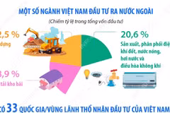 Đầu tư của Việt Nam ra nước ngoài trong 5 tháng năm 2026 đạt 794,6 triệu USD