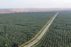 Đường 769 đoạn qua sân bay Long Thành, dự kiến sẽ khởi công nâng cấp, mở rộng vào cuối tháng 6/2026. (Ảnh: Công Phong/TTXVN)