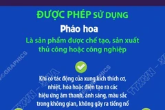 Người dân được sử dụng loại pháo nào trong dịp Tết Nguyên đán? 