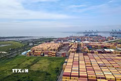Hệ thống cảng hiện hữu trên sông Thị Vải-Cái Mép và một phần đất trống sau cảng quy hoạch làm Khu thương mại tự do Cái Mép Hạ nhìn thẳng ra vịnh Gành Rái. (Ảnh: Đoàn Mạnh Dương/TTXVN)