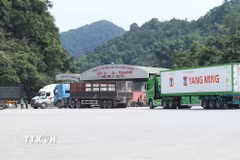 Phương tiện chở nông sản ra vào khu vực bến bãi cửa khẩu Tân Thanh, tỉnh Lạng Sơn. (Ảnh: Quang Duy/TTXVN)