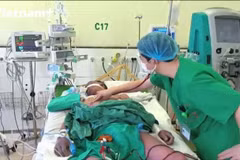 Thái Bình: Một người đàn ông nguy kịch vì ăn lòng lợn chưa chín