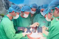 6 tuần, 5 lá phổi mới: Kỳ tích hồi sinh sự sống 