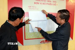 Người dân thôn Thanh Lịch, xã Ý Yên (Ninh Bình) tra cứu danh sách cử tri. (Ảnh: Nguyễn Lành/TTXVN)