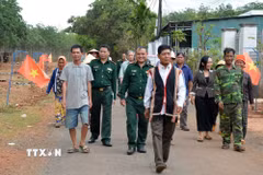 Ảnh minh họa. (Ảnh: Hồng Điệp/TTXVN)