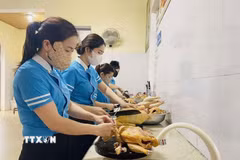 Các nhà trường luôn chủ động kiểm soát chất lượng, nguồn gốc thực phẩm tại bếp ăn bán trú. (Ảnh: TTXVN phát)