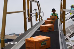 Vận chuyển hàng cứu trợ từ máy bay xuống sân bay quốc tế ở thủ đô Caracas. (Ảnh: Phi Hùng/TTXVN)