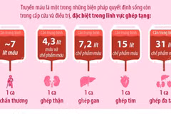 Ngày Quốc tế Người hiến máu: Giọt máu tình người - Hiến máu đào, trao sự sống 