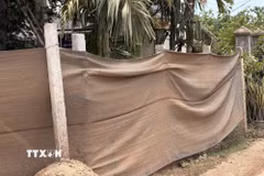 Vì quá bụi, người dân phải “khẩu trang” bằng lưới cho hàng rào nhà. (Ảnh: Cao Nguyên/TTXVN)