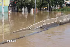 (Ảnh minh họa: Hồng Hiếu/TTXVN)