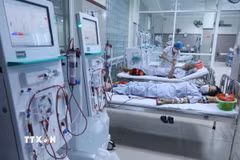 Suy thận là một trong những biến chứng nguy hiểm của bệnh tiểu đường. (Nguồn: TTXVN)
