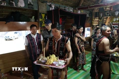 Mâm lễ khai năm tạ ơn rừng được đồng bào Cơ Tu (xã Hùng Sơn, thành phố Đà Nẵng) chuẩn bị. (Ảnh: Khoa Chương/TTXVN)