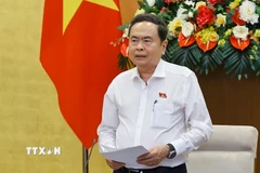 Chủ tịch Quốc hội Trần Thanh Mẫn phát biểu. (Ảnh: Doãn Tấn/TTXVN)