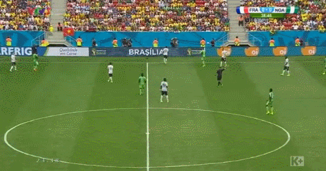 Cờ Việt Nam tung bay phấp phới trong trận đấu Pháp-Nigeria ảnh 2