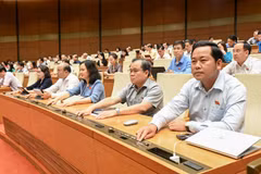 Quốc hội vừa chính thức thông qua Nghị quyết về thí điểm một số cơ chế, chính sách đặc thù phát triển nhà ở xã hội trong phiên họp ngày 29/5. (Ảnh: CTV/Vietnam+)