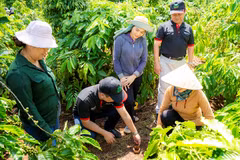 Báo chí cũng có những đóng góp sắc nét thông qua các tuyến bài chuyên sâu, góp phần truyền dẫn nhận thức về tiêu dùng xanh, cổ vũ các mô hình kinh tế tuần hoàn. (Ảnh: Vietnam+)