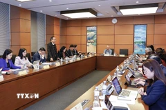 Phiên thảo luận tại Tổ về dự án Luật trong khuôn khổ Kỳ họp thứ 10, Quốc hội khoá XV, ngày 3/11. (Ảnh: TTXVN)