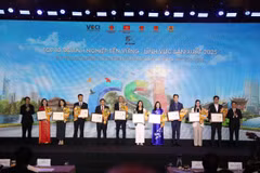 Nhân dịp kỷ niệm 10 năm, Ban tổ chức đã trao tặng cúp “Ngôi sao CSI” cho 11 doanh nghiệp xuất sắc, có từ 5 năm liên tiếp trở lên được biểu dương trong Top 10 doanh nghiệp bền vững. (Ảnh: Vietnam+)