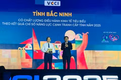 Trong số các địa phương dẫn đầu về chất lượng điều hành "Tốt," những cái tên như Bắc Ninh, Đà Nẵng, Hải Phòng, Phú Thọ và Quảng Ninh đã ghi dấu ấn đậm nét. (Ảnh: Vietnam+)