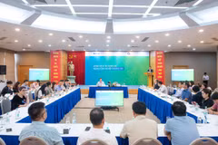 Hội thảo “Chính sách tài chính cho ngành công nghiệp khoáng sản” do Liên đoàn Thương mại và Công nghiệp Việt Nam (VCCI) cùng Hội Khoa học và Công nghệ Mỏ Việt Nam phối hợp tổ chức vào ngày 15/10. (Ảnh: Vietnam+)