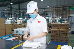Đầu tư tại khu vực ngoài Nhà nước vẫn chiếm tỷ trọng lớn nhất (54,2%) với 361,5 nghìn tỷ đồng, tăng 5,5%. (Ảnh: Vietnam+)