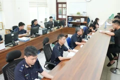 Ngay sau khi hệ thống hoạt động trở lại, lô hàng đầu tiên đã được đăng ký thành công tại Chi cục Hải quan Khu vực 4, sẵn sàng cho hành trình xuất khẩu sang thị trường châu Âu. (Ảnh: Vietnam+)