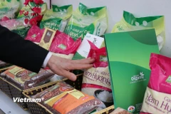 Thị trường nội địa trong quý đầu 1 chứng kiến sự gia tăng mạnh mẽ khi tổng mức bán lẻ hàng hóa và doanh thu dịch vụ tiêu dùng. ( Ảnh: Vietnam+)